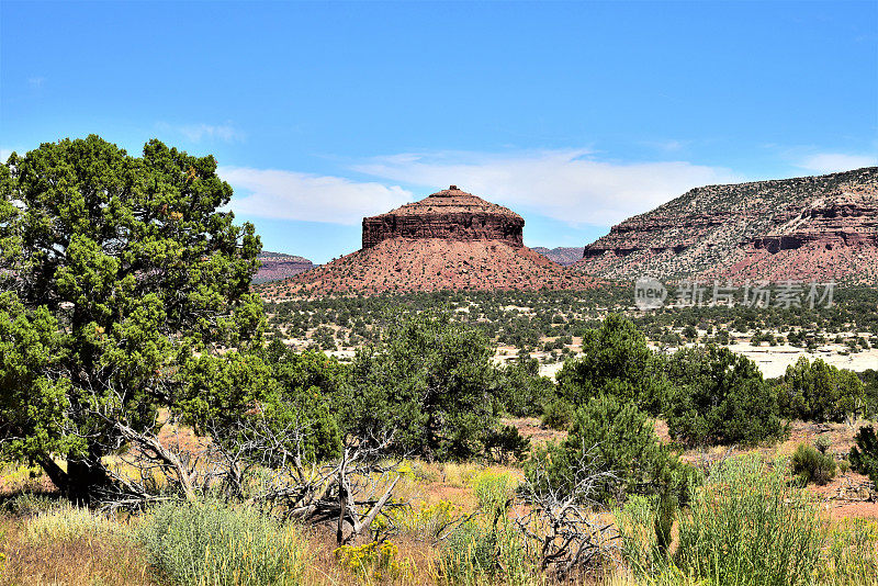 犹他州的Cheese Box Butte